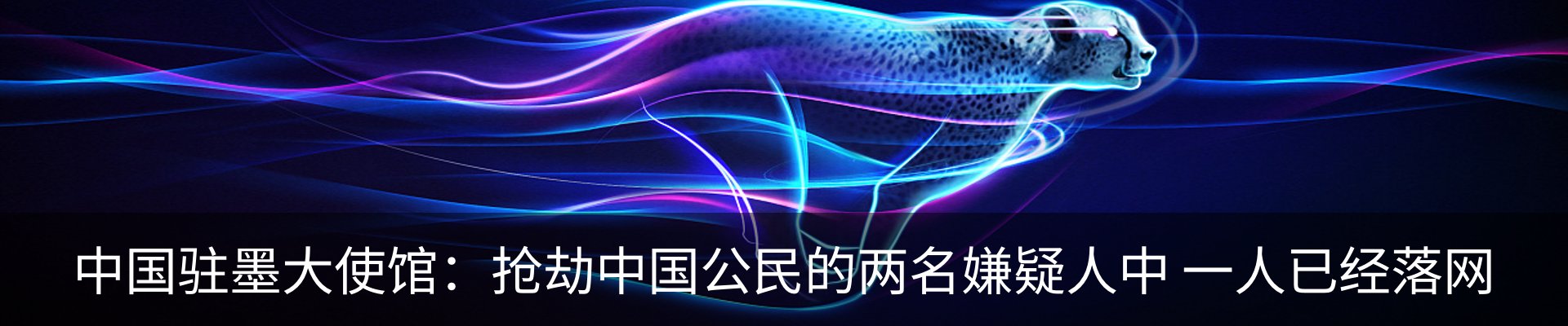资讯动态